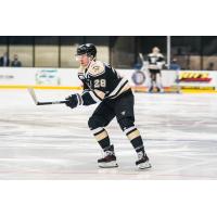 Forward Jacob Pritchard with the Wheeling Nailers