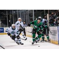 Texas Stars in action