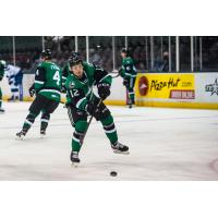 Texas Stars center Riley Damiani