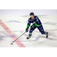 Maine Mariners forward Lewis Zerter-Gossage