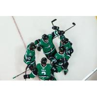 Texas Stars huddle
