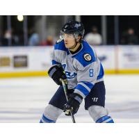 Defenseman Michael Kim with the Jacksonville Icemen