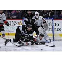 Reading Royals forward Brayden Low (left) eyes a loose puck