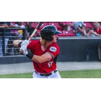 Joey Wiemer at bat for the Carolina Mudcats