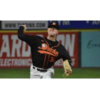 Long Island Ducks pitcher Brendan Feldmann