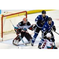 Kelowna Rockets goaltender Cole Tisdale vs. the Victoria Royals