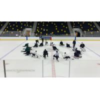 Iowa Heartlanders training camp