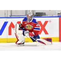 Goaltender Colby Knight with the Edmonton Oil Kings