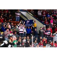 Kalamazoo Wings fans