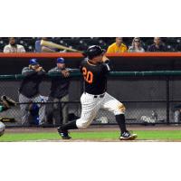 Lew Ford at bat for the Long Island Ducks