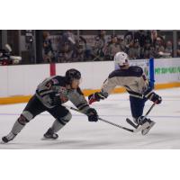 Macon Mayhem vs. the Knoxville Ice Bears