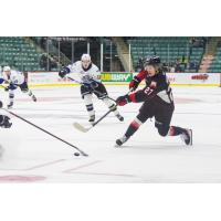 Prince George Cougars defenceman Joseph Carvalho vs. the Victoria Royals