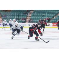 Prince George Cougars centre Justin Almeida vs. the Prince George Cougars