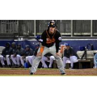 Boog Powell of the Long Island Ducks