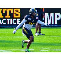 Hamilton Tiger-Cats defensive back Adonis Davis