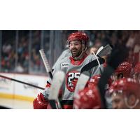 Grand Rapids Griffins in action
