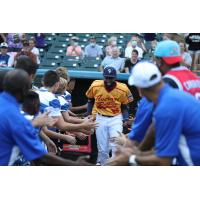 York Revolution outfielder Melky Mesa