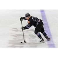 Andrew McLean of the Knoxville Ice Bears