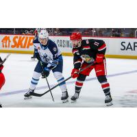 Grand Rapids Griffins right wing Riley Barber (right) vs. Manitoba Moose left wing Jeff Malott