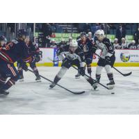 Vancouver Giants left wing Zack Ostapchuk tries to control the puck vs. the Kamloops Blazers