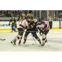 Reading Royals battle the Norfolk Admirals