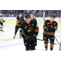 Vancouver Giants left wing Adam Hall