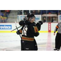 Vancouver Giants right wing Justin Lies is congratulated after a goal