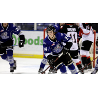 Victoria Royals defenceman Luke Shipley