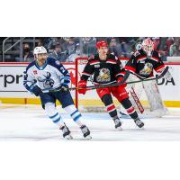 Grand Rapids Griffins defenseman Dan Renouf (center) and goaltender Victor Brattstrom vs. the Manitoba Moose