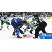 Jacksonville Icemen face off with the Florida Everblades