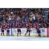 Orlando Solar Bears high five the bench after a goal