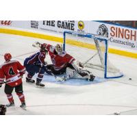 Rapid City Rush goaltender David Tendeck