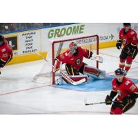 Goaltender Jon Gillies with the Stockton Heat