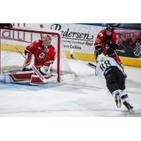 Goaltender Jon Gillies with the Stockton Heat