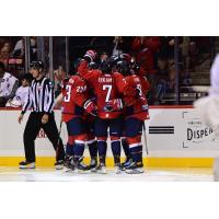 South Carolina Stingrays celebrate a goal