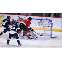 Adirondack Thunder forward Alex Carrier scores against the Worcester Railers