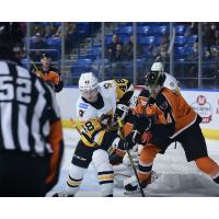 Lehigh Valley Phantoms defenseman Egor Zamula (right) vs. the Wilkes-Barre/Scranton Penguins