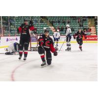 Prince George Cougars left wing Carter MacAdams celebrates a score against the Victoria Royals