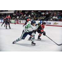 Former North Iowa Bulls forward Lucas Wahlin