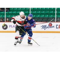 Belleville Senators vs. the Rochester Americans