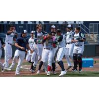 Gwinnett Stripers celebrate a walk-off win