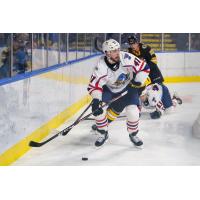Springfield Thunderbirds forward Nic Pierog