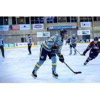 Erie Otters right wing Daniel D'Amato
