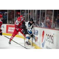 Rapid City Rush forward Colton Leiter (left) fights for the puck vs. the Idaho Steelheads
