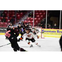 Medicine Hat Tigers defend against the Moose Jaw Warriors