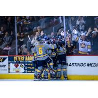 Erie Otters celebrate a goal