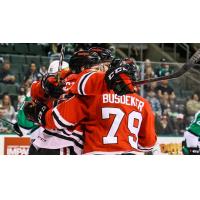 Rockford IceHogs celebrate a goal against the Texas Stars