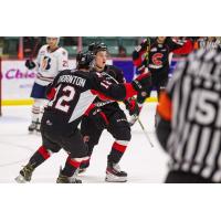 Prince George Cougars react after Riley Heidt's goal against the Kamloops Blazers
