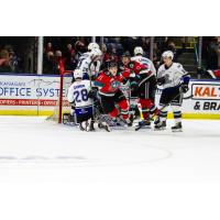 Kelowna Rockets right wing Pavel Novak races from the crowd after scoring against the Victoria Royals