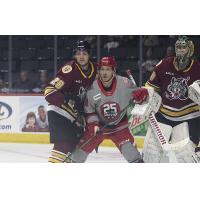 Grand Rapids Griffins vs. the Chicago Wolves